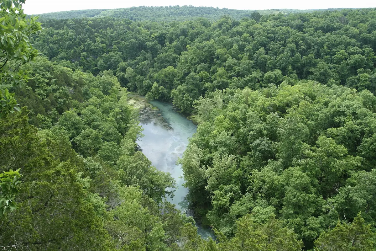 Mist over a river winding through dense green forest in Ha Ha Tonka State Park