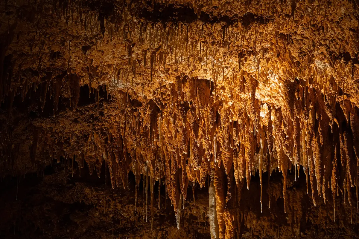 Orange stalactites and soda straws hanging densely from the ceiling of Onondaga Cave in Missouri